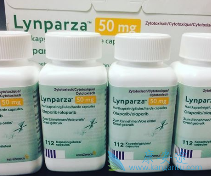 PARP抑制剂 PARP抑制剂