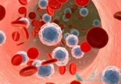 ������ϸ����Ѫ���εú������ְ�Ѫ������ҩ��Ч���ã�