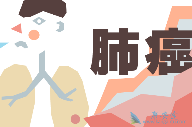 厄洛替尼 厄洛替尼