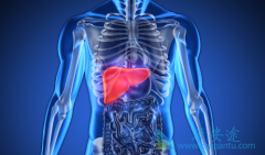 �༪��/������������ʵ���������Ч�����ٴ��о�һ��