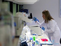 ��CAR-Tϸ�������Ʒ�Ϊ�������������Ʒ���Ϊ��֢���ߴ�����ϣ��