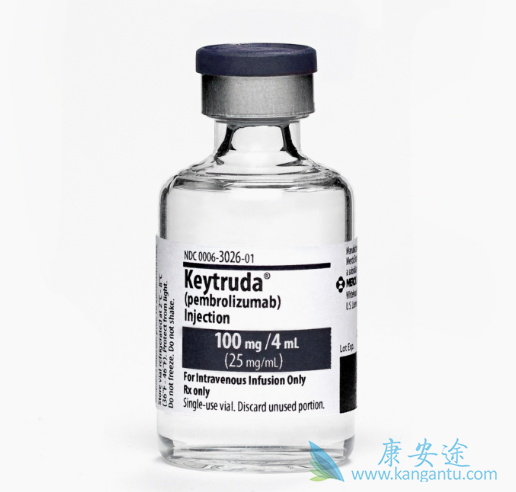 PD-1\PD-L1免疫检测点抑制剂 PD-1\PD-L1免疫检测点抑制剂