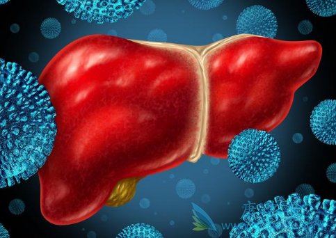 丙肝是什么病 丙肝是什么病