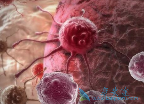 治疗癌症的药 治疗癌症的药