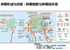 ����΢�������������������Ĺ�ϵ