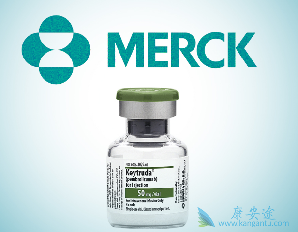 PD-1抑制剂 PD-1抑制剂