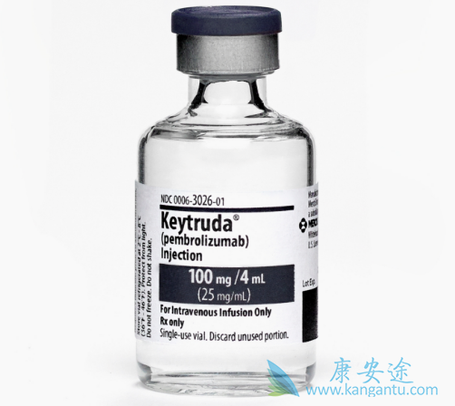 PD-1单抗 PD-1单抗