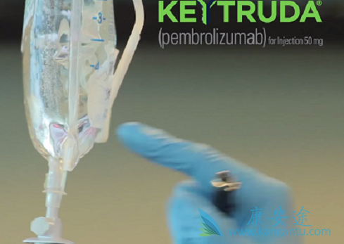 PD-1抑制剂 PD-1抑制剂