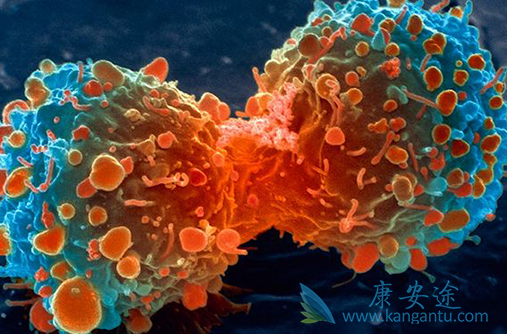 免疫治疗 免疫治疗