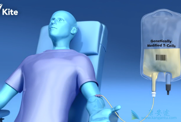 CAR-T CAR-T