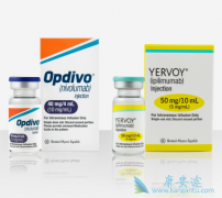 �Ѿ����й����е�PD-1���Ƽ�Opdivo����������߷ΰ�����������