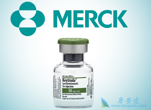 PD-1单抗 PD-1单抗