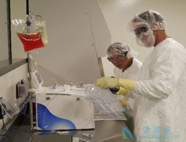 免疫治疗 免疫治疗