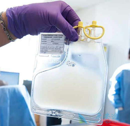 �����鵥��