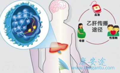 乙肝病毒传播途径 乙肝病毒传播途径