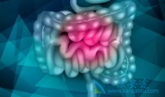 FOLFIRI�������ᵥ��(Panitumumab)����ֱ���������ò�����