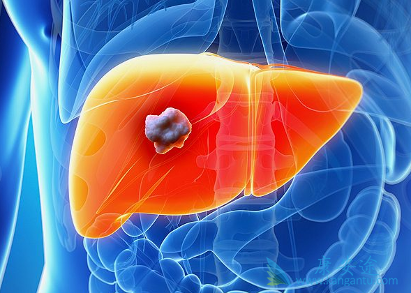 �ַ�����