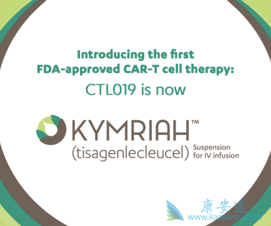 细胞治疗 细胞治疗