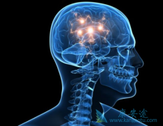 PD-1�����Ʒ����ư�֢��ת�ƻ��߱��ֲ���