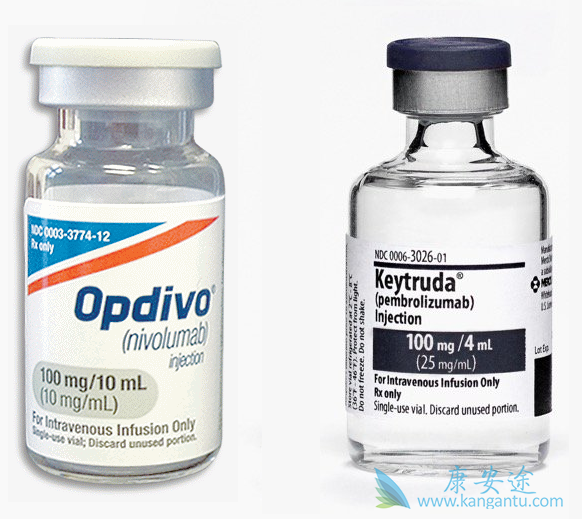 PD-1联合疗法 PD-1联合疗法