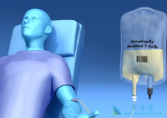 ���Ű�֢�����Ʒ�CAR-Tϸ���Ʒ����з�����