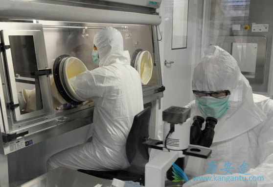 CAR-T疗法 CAR-T疗法