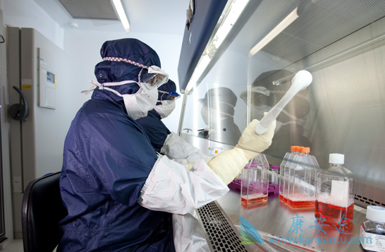 CAR-T疗法 CAR-T疗法