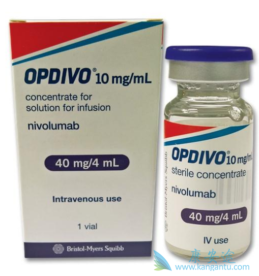 PD-1抑制剂联合疗法 PD-1抑制剂联合疗法