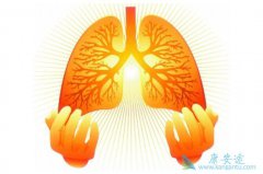 ����ΰ����ڻ���������ʹ�����ض�����Щ