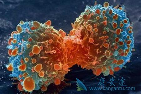 海外医疗 海外医疗