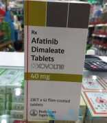 ��������(afatinib)ֻ��ѡ���Ը���GBM���ߵ���Ч����