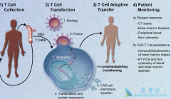 CAR-Tϸ���Ʒ���PD-1���Ƽ���Ŀǰ��Ϊ���ȵİ�֢�������Ʒ���