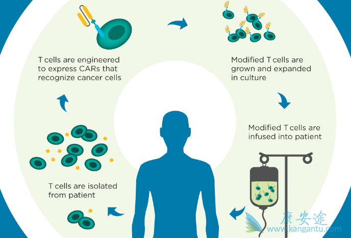 CAR-T����ҩ��