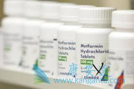 二甲双胍 二甲双胍