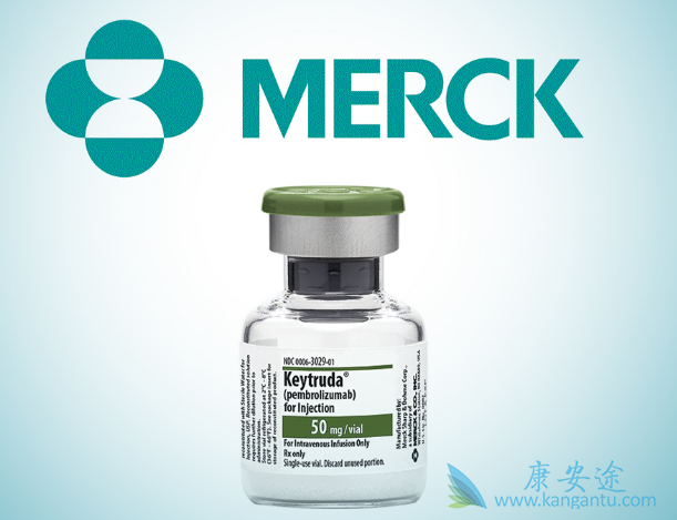 PD-1单抗药物 PD-1单抗药物