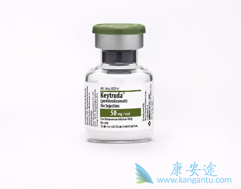 PD-1单抗药物 PD-1单抗药物