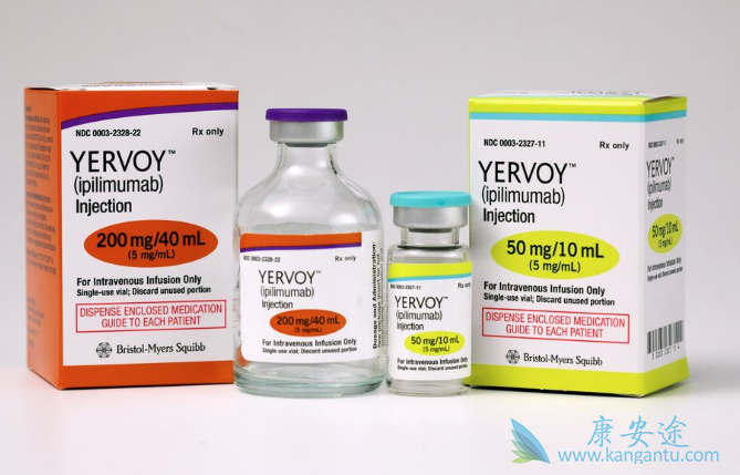 CTLA-4���Ƽ�