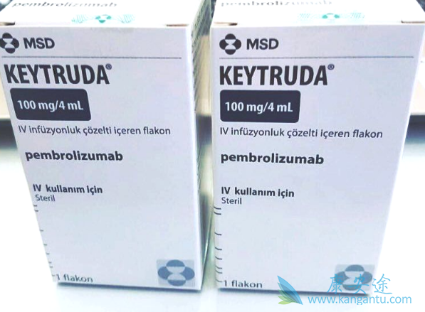 PD-1抑制剂 PD-1抑制剂