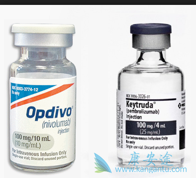 PD-1抑制剂 PD-1抑制剂