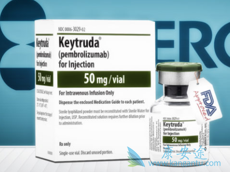 PD-1抗体 PD-1抗体