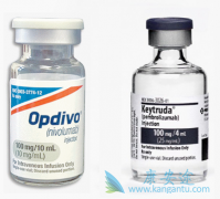 PD-1���Ƽ�Opdivo���������ȵ������ڹ��������Ʒΰ���