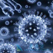 �����������ƶ෢�Թ�����ʧ�ܺ�����ÿ���������������