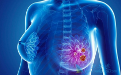 ��������/���Լױ������ϸ�ҩ��������ǿ��ȫ��