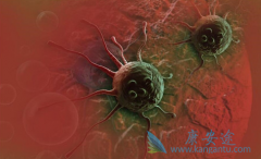 �ٴ�������󳦰�֢״�����Ϊ��Ѫ