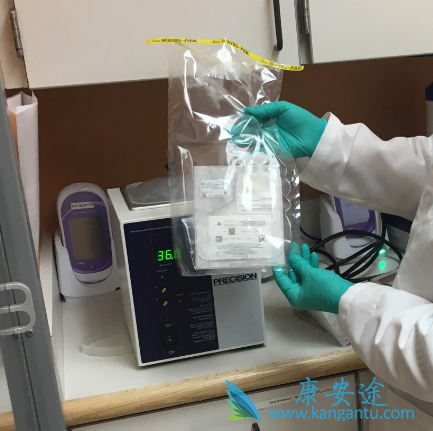 CAR-T细胞免疫疗法 CAR-T细胞免疫疗法