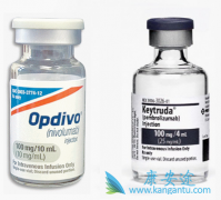 PD-1���Ƽ�����keytruda���ڹ����ϵ�������ô����