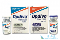 ��ķ����(Keytruda)PK���䵥��(Opdivo)������