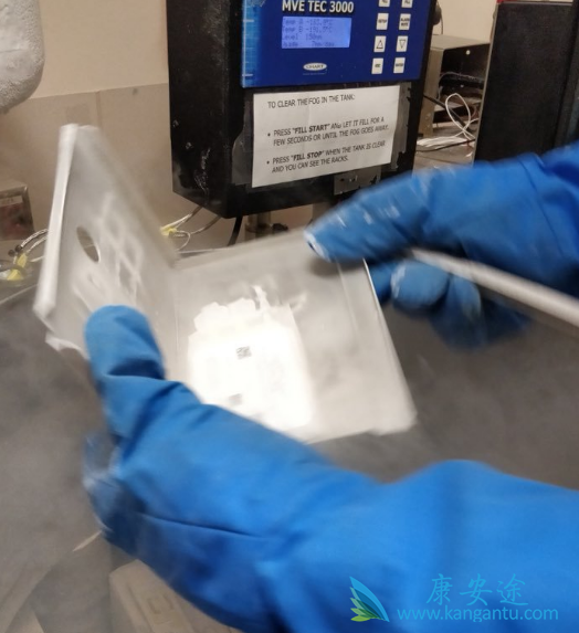 CAR-T细胞免疫疗法 CAR-T细胞免疫疗法