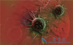 ��֢���κ�����Щ��֢�ܹ���������