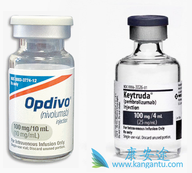 PD-1单抗 PD-1单抗